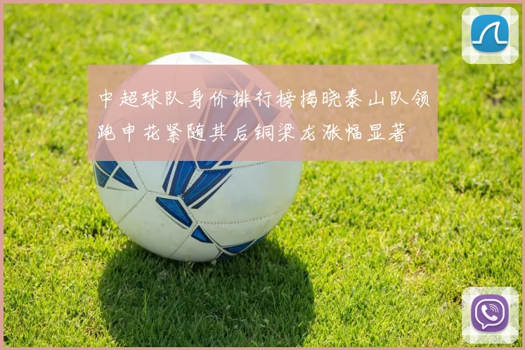 中超球队身价排行榜揭晓泰山队领跑申花紧随其后铜梁龙涨幅显著