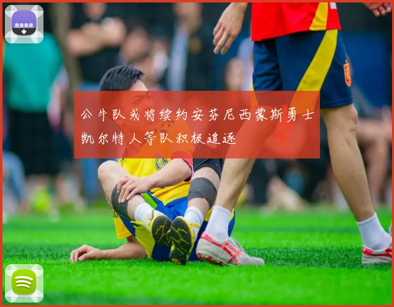 公牛队或将续约安芬尼西蒙斯勇士凯尔特人等队积极追逐